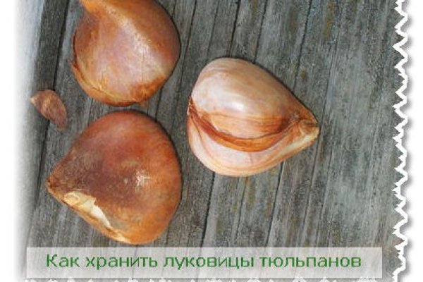 Кракен магазин нарков