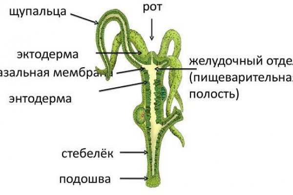 Darknet ссылка кракен kraken014 com